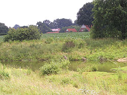 Ein Regenrückhaltebecken, das aussieht wie ein natürlicher Tümpel in grüner Landschaft an einem Feldrand im Hintergrund dörfliche Bebauung.