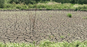 Der aufgerissene Boden eines trocken gefallenen Teiches.