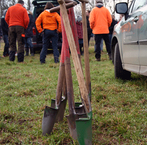 Fünf Pflanzspaten stecken in der Grasnarbe; im Hintergrund Transportfahrzeuge und Menschen in Arbeitskleidung.