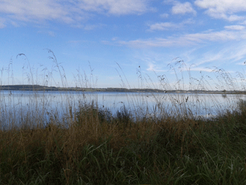 Abendliche stimmungsvolles Bild eines Sees, im Vordergrund der Uferbereich mit Schilfgräsern.