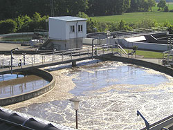 Die Wasseroberfläche des kreisrunden Belebungbeckens (weitere Erklärung im Text)