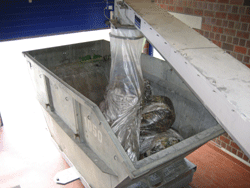 Ein offener Containerbehälter, darüber ein flexibler, durchsichtiger, röhrenartiger Auslass für Wertstoffe