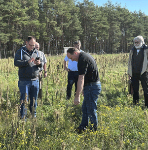 Fünf Männer stehen in einem Feld und betrachten die Pflanzen.