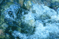 Schäumendes Wildwasser fließt über Steine.